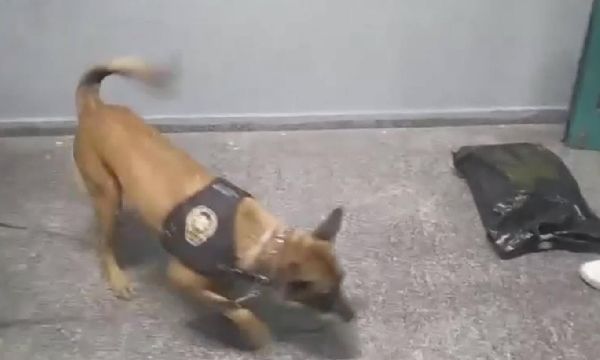 İzmir Otogarı'nda uyuşturucu operasyonu... 